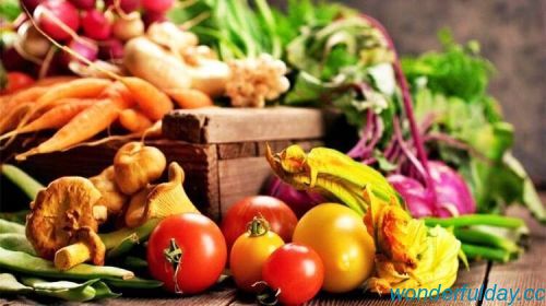 白俊遥博客 白俊遥博客