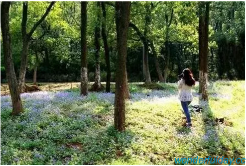 白俊遥博客 白俊遥博客