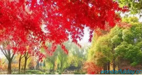 白俊遥博客 白俊遥博客