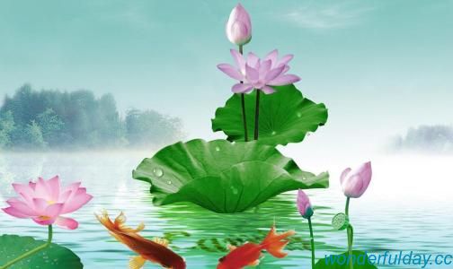 白俊遥博客 白俊遥博客