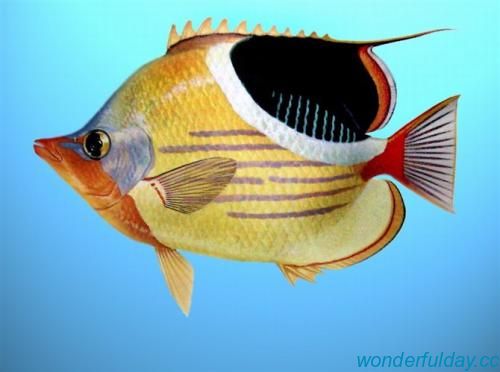 白俊遥博客 白俊遥博客